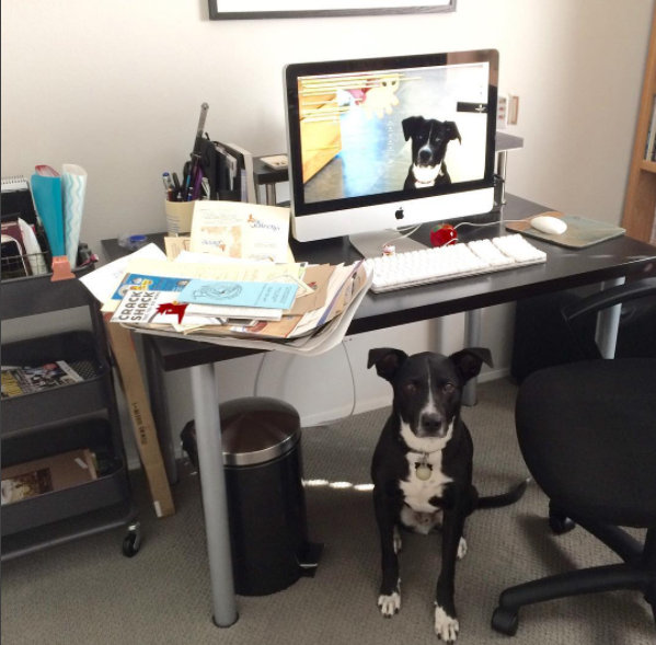 Before DeskwithDoctor